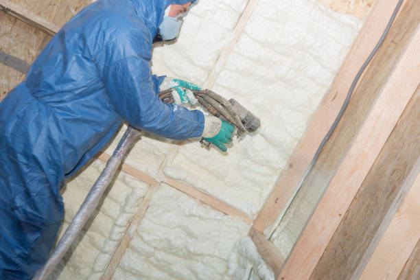 Professional Foam Insulation Services in East Dundee, IL